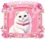 Happy Cataday!