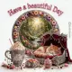 Have a beautiful Day
