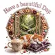 Have a beautiful Day