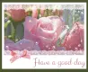have a good day