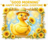 Good Morning