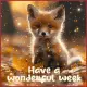 have a wonderful week