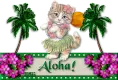 Aloha