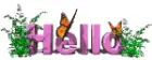 hello