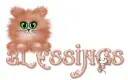 Blessing's Kitty