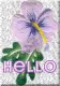 Hello