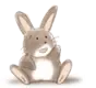 hello bunny