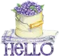 Hello