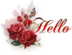 Hello