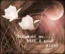 Dream of me