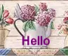Hello