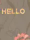 Hello