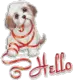 HELLO!