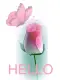 Hello