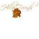 hello friends