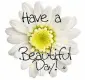 Have a Beautiful Day