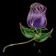 Hello with purple rose