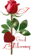 rose
