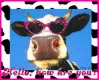 cow