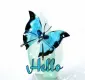 butterfly