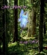 flying forest fairy saying hi