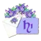 Hi