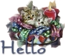 hello