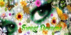 sweet dreams