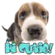 Hi Cutie!!