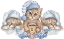 goodnightkitty~PD