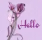 Hello