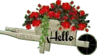 Hello