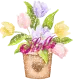 Say Hello with Tulips