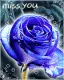 cute kawaii miss you blue rose
