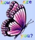 How are you