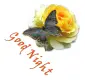 good night