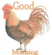 Good morning