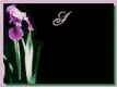 Beautiful Day Animation