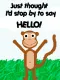 Hello monkey