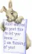 Bunny Note