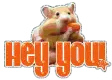 Hey You