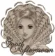 lady - good afternoon
