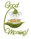 good morning!!!!