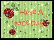 have a nice day lady bugs