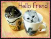 Hello Friend