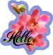 Hello