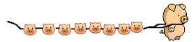 pig
