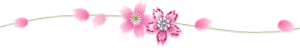pink flowers