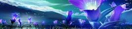 blue flower