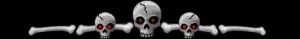 skulls divider